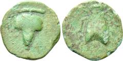Greek Coins ASIA MINOR. Uncertain (Ephesos in Ionia?). Ae (Circa 4th-2nd centuries BC). Obv: Grape bunch on vine. Rev: Bee. SNG von Aulock -; SNG Copenhagen -; BMC -; Asia Minor Coins online -; appare