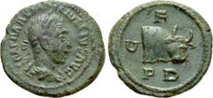 Roman Provincial Coins THRACE. Deultum. Maximinus Thrax (235-238). Ae. Obv: IMP MAXIMINVS PIVS AVG. Laureate, draped and cuirassed bust right. Rev: C F / P D. Head and neck of bull right. Varbanov 242
