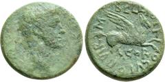 Roman Provincial Coins CORINTHIA. Corinth. Caligula (37-41). Ae. P. Vipsanius Agrippa and M. Bellius Proculus, duoviri. Obv: C CAESAR AVGVSTV. Bare head right. Rev: M BELLIO PROCVLO IIVIR / COR. Pegas