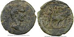 Ancients Roman Provincial PHOENICIA. Berytus. Nerva (AD 96-98). AE (27mm, 11h). NGC Choice VF. Ca. AD 99-102. DIVOS NERVA AVGVSTVS, laureate bust of Divus Nerva right / COL / IVL / AVG-FEL-BER, veiled