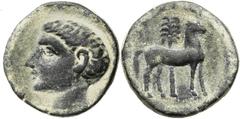 POST-BARCID SPAIN. Carthago Nova. Ca. 209 BC. Æ Unit (25mm, 11.56 g, 12h). Bare male head left with close-cropped hair (P. Cornelius Scipio Africanus?) / Horse standing right; palm tree in background.