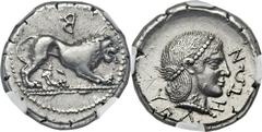 LUCANIA. Velia. Ca. 400-350 BC. AR didrachm (20mm, 7.61 gm, 2h). Lion crouching right on dotted ground line, B (reverted) above / YEΛ-HTΩN, head of nymph Velia right, hair arranged in krobylos (pearle