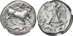 Ancients Ancients SICILY. Catana. Ca. 465-450 BC. AR tetradrachm (26mm, 17.18 gm, 8h). NGC Choice AU 3/5 - 4/5, Fine Style. Man-faced bull (the local river god Amenanos) standing right, kneeling with 