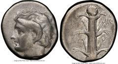 Ancients Greek CYRENAICA. Cyrene. Ca. 308-277 BC. AR didrachm (20mm, 7.54 gm, 1h). NGC Fine 5/5 - 3/5. Magas as Ptolemaic governor, ca. 300-282/75 BC. Bare head of Apollo-Carneius left, with horn of A