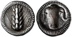GREEK COINS LUCANIA   METAPONT. Triobol, about 470-440. AR 1.27 g. META Ear of barley, around dotted border between two circular lines. Rev. Bucranium, incuse; around, radiate border. Noe I, 126,284; 