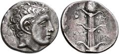 CLASSICA - GREEK COINS. CYRENAICA. CYRENE. Magas, son of Berenice I of Egypt. Didrachm, about 298-275 BC. AR 7.70 g. Youthful head r. of Carneius with ram's horn r. Rev. ΚΥ - ΡΑ Silphium plant, high i