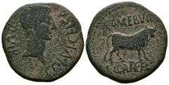Celtiberian coins CELSE (Velilla del Ebro, Zaragoza). As. (Ae. 16.82g/30mm). 27 BC-14 AD (FAB-804). Obv: Head of Augustus right, around legend: COL VI CELSA II VIR. Rev: Bull to right, above legend: L