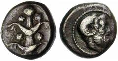 CYRENAIQUE, CYRENE, AR drachme, 480-435 av. J.-C. Droit : Plant de silphium. Revers : Tête de Zeus-Ammon à droite, avec des cornes de bélier, entourée d'un cercle de grènetis, dans un carré incus. Ref