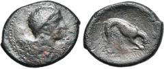 MAGNA GRAECIA SICILE, AGYRION, AE bronze, 338-317 av. J.-C. D/ T. imberbe d''Héraclès à d., la peau de lion nouée autour du cou. R/ Panthère dévorant sa proie à d. SNG ANS 1167; HGC 50; Calciati 129, 