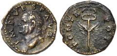 ROMAN EMPIRE VESPASIEN (69-79), AE quadrans, 74, Syrie. D/ IMP VESP AVG T. l. à g. R/ PON TR POT Caducée ailé. BMC - (D/ 217, 881, R/ 218, 882 pour Titus); RIC 1570 (cet exemplaire cité); RPC - (D/ 19