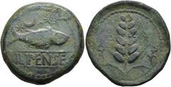 HISPANIA ANTIGUA. Ilipa. ¿Dupondio?. A/ Sábalo a der., encima creciente entre dos estrellas, debajo ILIPENSe entre líneas. R/ Espiga AE 29,16g. 35,9 mm. I-1530; ACIP-2332. Pátina verde. MBC-/MBC. Rara