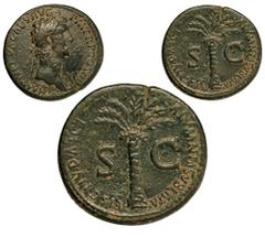 NERVA. Sestercio. A/. Busto laureado de Nerva a dcha. Alrededor ly.: IMP NERVA CAES AVG P M TR P COS III PP. R/. Palmera, alrededor ly.: FISCI IVDAICI CALVMNIA SVBLATA S C. SM- 3044. Pát. verdosa. 21,