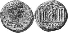 COINS OF THE JEWS The Coinage of Aelia Capitolina Estimate: CHF 7'500.00 A collection of 63 Bronze Coins of the Roman city of Jerusalem, refounded by Hadrian under the name of Aelia Capitolina. The co