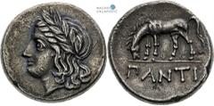 Ancient Greece | Antikes Griechenland Pantikapaion, Ancient Greece Tetradrachm (around 355-340 BC) Nice patina. Extraordinary specimen! Light traces of corrosion. Pantikapaion, Antikes Griechenland Te