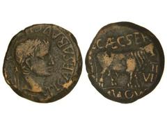 As. ÉPOCA DE TIBERIO. TURIASO. Anv.: Cabeza laureada de Tiberio a derecha. Rev.: C. CAECSER... Toro a derecha. 12,70 grs. AB-2451. MBC-.