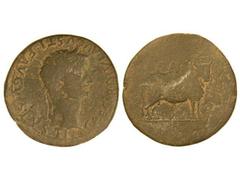 As. ÉPOCA DE TIBERIO. CAESARAUGUSTA. Anv.: Cabeza laureada de Tiberio a derecha, alrededor leyenda. Rev.: Toro mirando a derecha, encima C. C. A. 9,80 grs. AB-367. MBC.