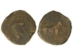 As. ÉPOCA DE TIBERIO. TURIASO. Anv.: (TI. C)AESAR AVG. F. IMP. PONT. M. Cabeza laureada de Tiberio a derecha. Rev.: M. PONT. MVN. TVR. VEGETO. II VIR. Toro a derecha. 14,20 grs. Pátina oscura. AB-2450