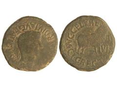 As. ÉPOCA DE TIBERIO. CALAGURRIS. Anv.: (TI. CA)ESAR DIVI AVG. F. AVGVST(VS). Cabeza laureada de Tiberio a derecha. Rev.: G. CELERE. G. RECTO II VIR. M. C. I. Toro a derecha. 13,60 grs. Pátina verde. 