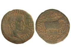 As. ÉPOCA DE TIBERIO. TURIASO. Anv.: TI. CAESAR AVGSVT. (F. IMPERATOR). Cabeza laureada de Tiberio a derecha. Rev.: C. CAEC. SER. M. VAL. QVAD. MVN. TVR. VII VIR. Toro a derecha. 11 grgs. AB-2451. (MB