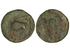 Dupondio. ITUCI. Anv.: Jinete con rodela a izquierda, debajo ITVCI sobre línea. Rev.: Dos espigas, entre ellas estrella y creciente. 19,10 grs. Pátina verde. AB-1599. MBC-.