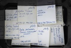 Ancient coins in lots Ancient coins in lots - Roman coinage - An interesting lot Greek Roman coins, all with river gods, several emperors, eras and cities including Elagabalus Antiocheia, Sev. Alexand