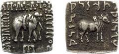 The East - The Baktrian Kingdom - Apollodotos I (ca. 174-165 BC) - AR square Drachm (2.36 gm.) - Elephant adv. right, M-monogram below / Zebu bull stg. right, no monogram below, Taurine symbol on back