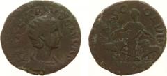 Roman Imperial Coinage - Herennia Etruscilla - Moesia Superior / Viminacium - AE28 (AD 250-251, 11.91 g) - Draped bust right / PM S COL VIM Moesia standing facing, head left, holding branch, between b