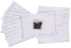 Ancient coins in lots - An interesting collection of Celtic coins from the region of Gaul: 3 potins of the Bellovaci (DT 231), 3 AE coins of the Treveri (Castelin 507-513), a 1/4 Stater of the Remi (g