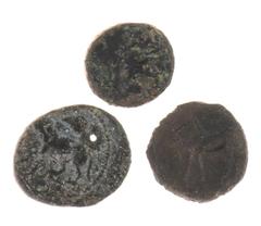 Ancient coins in lots - Lot of 3 coins. CYPRUS. Salamis. Evagoras II (Circa 361-351 BC) - Ae 18, Lion standing left, above head of ram / Horse standing left, ankh to left, star above (Tziambazis 129, 