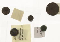 Ancient coins in lots Miscellaneous coinage - A lot with ancient coins, all struck in Egypt: an AE38 of Ptolemy III (S. 7844), an AE24 of Ptolemy II, a Bi. Tetradrachm of Nero (KG 14.84), an AE18 of P