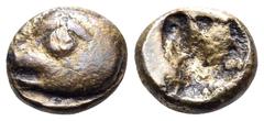 The Collection sans Pareille of Ancient Greek Fractions, Part III IONIA. Phokaia. Circa 625/0-522 BC. 1/48 Stater (Electrum, 6 mm, 0.44 g). Head of a seal to left. Rev. Quadripartite incuse square. Bo