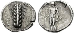 GREEK COINS Lucania Metapontum. Circa 440-430 BC. Didrachm or Nomos (Silver, 22mm, 7.91 g 7). META Ear of barley. Rev. Apollo, nude, standing facing, his head to left, holding a laurel tree in his rig