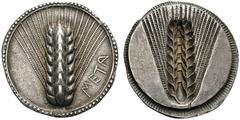 GREEK COINS Lucania Metapontum. c. 520-510 BC. Stater (Silver, 27mm, 8.18 g 12). META Ear of barley with eight grains; around, border of dots within two concentric linear circles. Rev. Ear of barley w