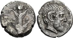 Greek Coins Cyrenaica, Barce. Tetradrachm 380, AR 25 mm, 12.84 g. Silphium plant with leaves and flowers. Rev. BAPKAI retrograde Laureate head of Zeus Ammon r. BMC 23 (these dies). Traité III 1962. Ve