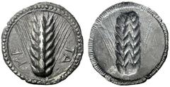 The M.L. Collection of Coins of Magna Graecia and Sicily Metapontum Nomos circa 540-510, AR 7.42 g. ME – TA Ear of barley. Rev. Same type, incuse. BMC 11. SNG ANS 203 (these dies). Noe-Johnston 97. Hi