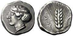 The M.L. Collection of Coins of Magna Graecia and Sicily Metapontum Nomos circa 430-400, AR 7.78 g. Diademed head of Demeter l. Rev. MET Ear of barley with stalk and leaf to r. Noe-Johnston 330f (this