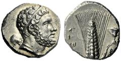 The M.L. Collection of Coins of Magna Graecia and Sicily Metapontum Nomos circa 290-280, AR 7.74 g. Head of Heracles r., hair bound with taenia ; lion skin tied around neck and club over l. shoulder. 