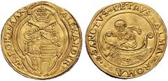 Due interessanti collezioni dei Romani Pontefici Zecca di Roma salvo contraria indicazione Alessandro VI (Rodrigo de Borja y Borja), 1492 – 1503 Doppio fiorino di camera, AV 6,63 g. ALEXANDER* – *VI*P