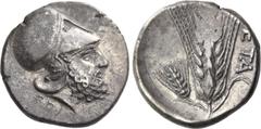 Greek Coins Metapontum. Nomos circa 340-330, AR 7.89 g. Head of Leucippus r., wearing Corinthian helmet; on neck-guard, S and below neck truncation, EΠI. Rev. META Ear of barley, with stalk l., upon w