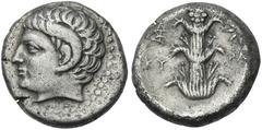 Greek Coins Cyrene. Didrachm circa 308-277, AR 20 mm, 7.68 g. Head of Apollo Carneius l. Rev. KY – PA Silphium plant; in l. field, monogram and in r., star. Müller 156. SNG Copenhagen 1238.Rare. Very 