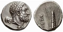 A remarkable selection of Greek Coins Metapontum Nomos circa 290-270, AR 7.90 g. Bearded head of Heracles Soter r., hair bound with ribbon; lion skin tied around neck and club over l. shoulder. Rev. M