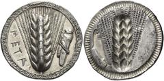 Greek Coins Metapontum Nomos circa 500, AR 8.05 g. META Ear of barley; in r. field, grasshopper. Rev. Ear of barley incuse; in l. field, outline of a dolphin. Gorini 10 and p. 136. SNG ANS 1207. AMB 1