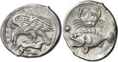 Greek Coins Sicily, Agrigentum Tetradrachm circa 420-415, AR 17.34 g. ΑΚRΑΓ – ΑΝΤΙΝ – Ο – Ν Eagle l., with wings spread, perched on dead hare lying on rock against which rests a murex and a cockle-she