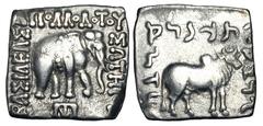 BAKTRIAN KINGDOM. Apollodotos I, 160-150 BC. AR Square Drachm (2.39 gm). Elephant standing / Humped bull standing SNG.ANS.328. Toned VF+. [Est. $300]