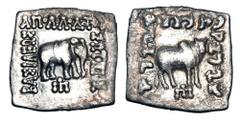 BAKTRIAN KINGDOM. Apollodotos I, 160-150 BC. AR Square Drachm (2.33 gm). Elephant standing / Humped bull standing SNG.ANS.337. Toned VF+.