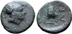 Greek Thrace, Lysimacheia as Seleukeia(?), Æ 9mm. After 280 BC. Head of Athena to right, wearing crested Corinthian helmet / Σ[Ε]-ΛΕY, grain ear with two leaves. A. Dieudonné, Monnaies Grecques in RN 