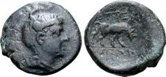 Greek Macedon, District of Bottiaia. Coinage in the name of the Botteatans Æ 23mm. Pella mint, circa 168-148 BC. Head of Athena Parthenos to right, wearing triple-crested Attic helmet decorated with t