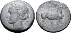 Greek North Africa, Carthage BI Tridrachm. Second Punic War, circa 215-210 BC. Youthful head of Tanit to left, wearing wreath of corn ears / Horse standing to right, palm tree behind. CNP 185; SNG Cop