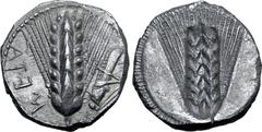 Greek Lucania, Metapontion AR Stater. Circa 470-440 BC. Ear of barley with seven grains on each side; META upwards to left, grasshopper downwards to right; dotted border around / Incuse barley ear. No