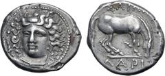 Greek No Reserve Thessaly, Larissa AR Drachm. Circa 356-342 BC. Head of the nymph Larissa facing slightly to left, with hair in ampyx / Horse standing to right, preparing to lie down; ΛAPIΣ-AIΩN above